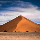 Düne in der Namib