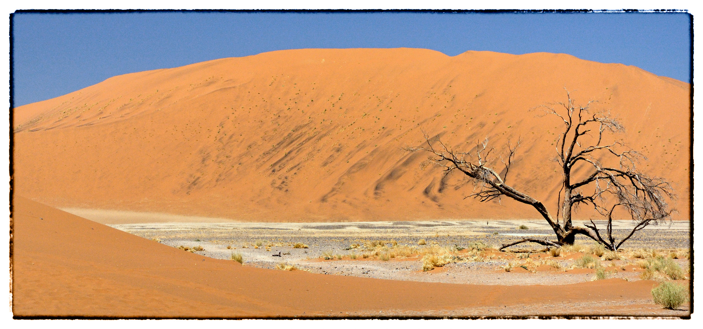 Düne in der Namib