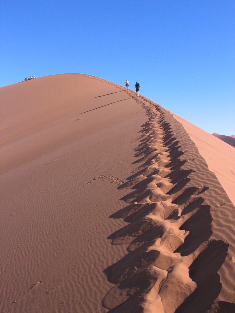 Düne in der Namib-Wüste