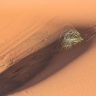 Düne in der Sahara