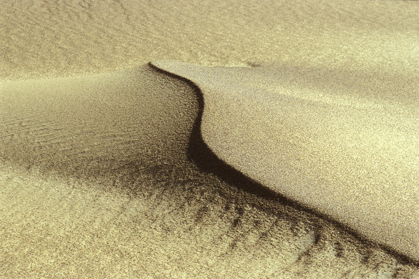 Düne in der schwarzen Wüste