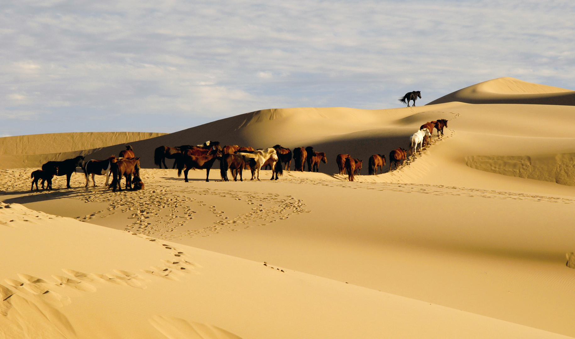 Düne in der Wüste Gobi