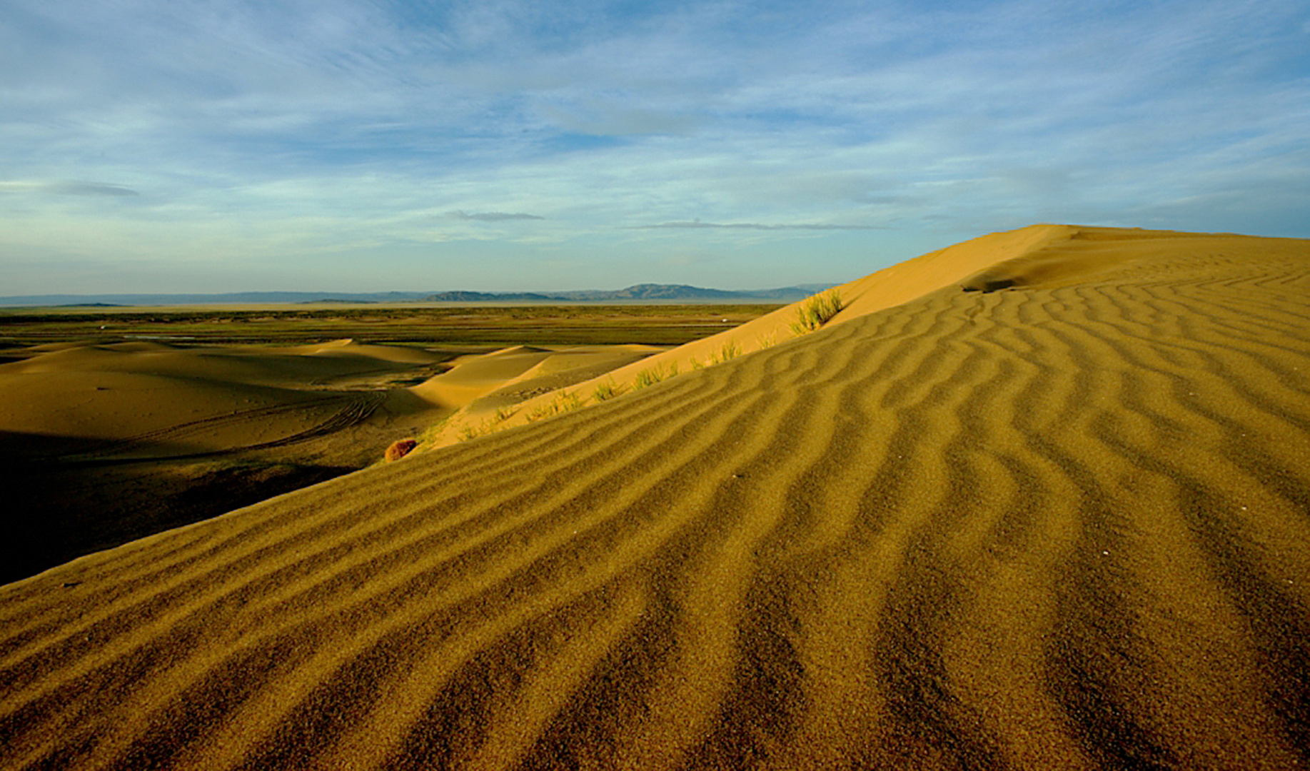 Düne in der Wüste Gobi (Mongolei)