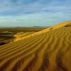 Düne in der Wüste Gobi (Mongolei)