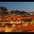 Düne in der Wüste Namib I