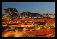 Düne in der Wüste Namib I