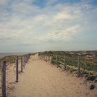 Düne in Egmond aan Zee