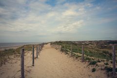 Düne in Egmond aan Zee