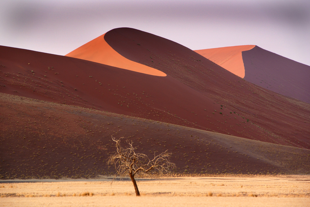 Düne in Namibia