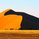 Düne in Namibia 