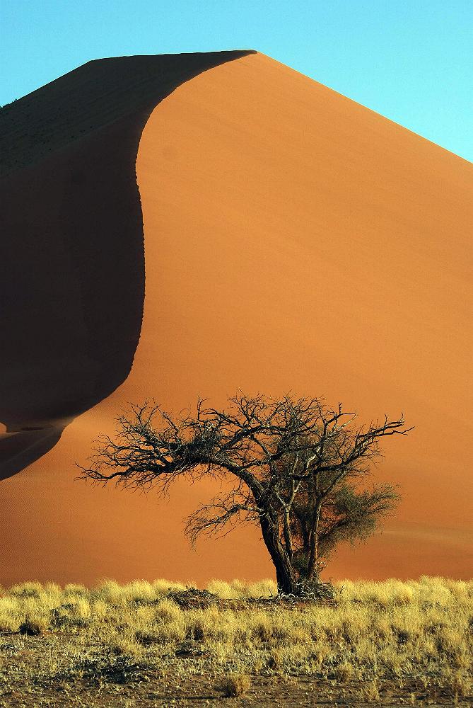 Düne in Sossusvlei