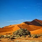 Düne in Sossusvlei