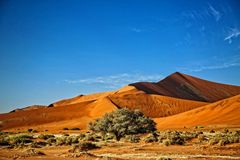 Düne in Sossusvlei