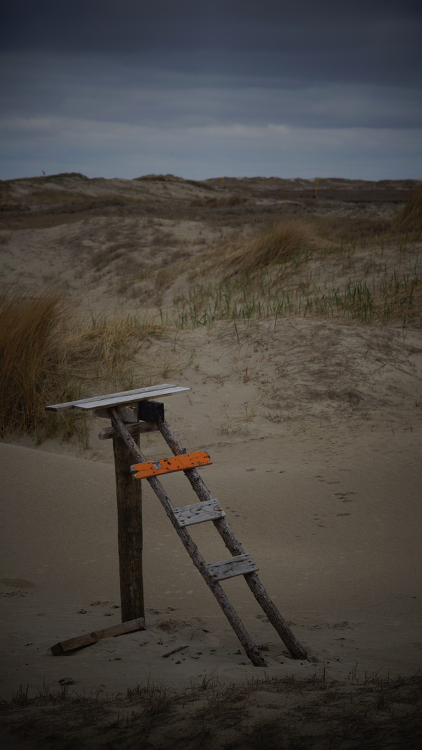 Düne in St. Peter Ording