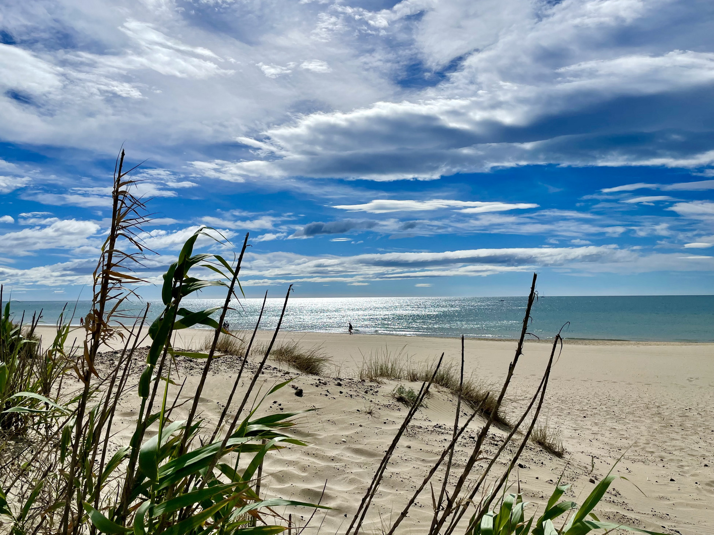 Düne in Südfrankreich