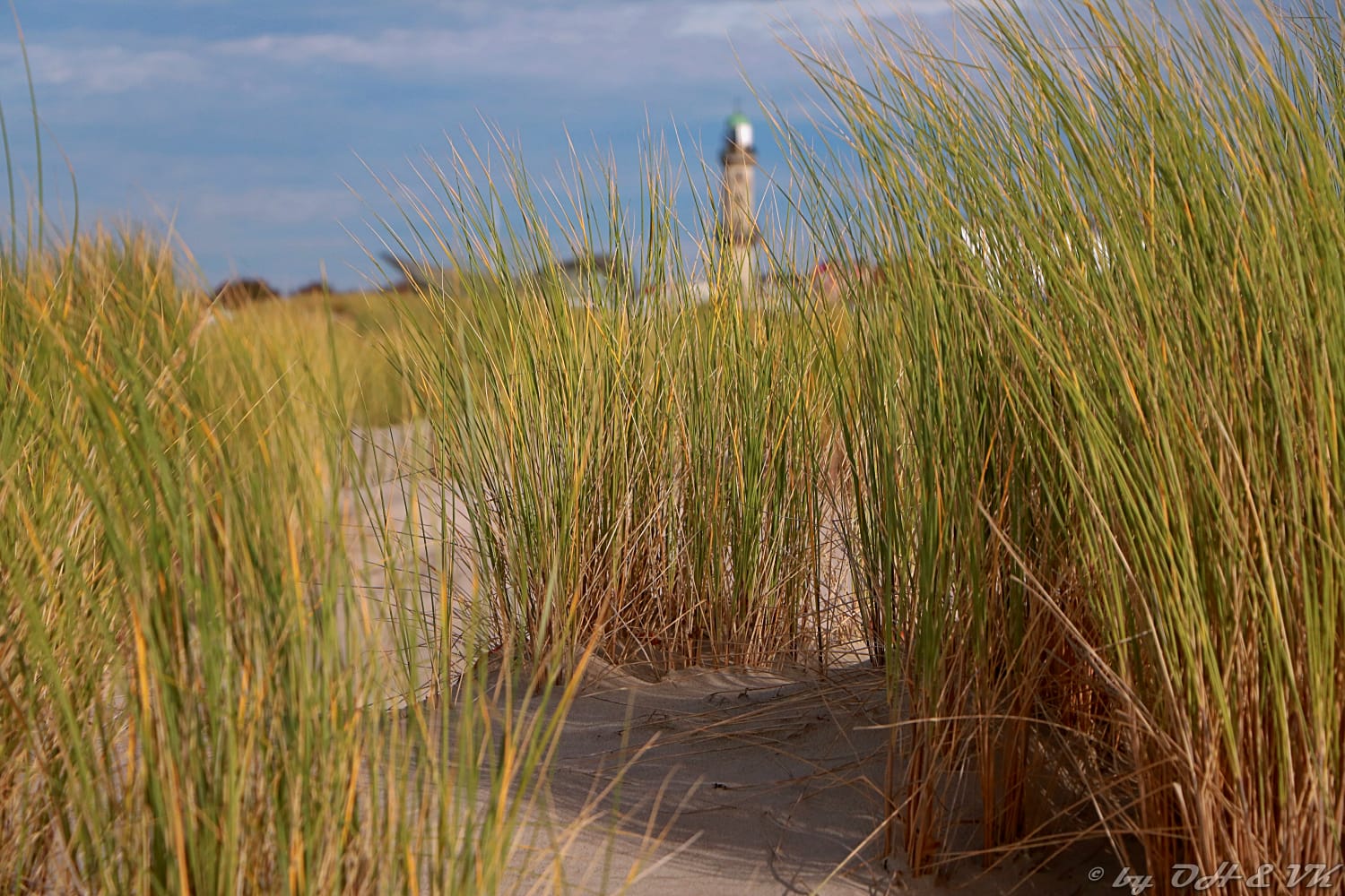 Düne in Warnemünde