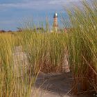 Düne in Warnemünde