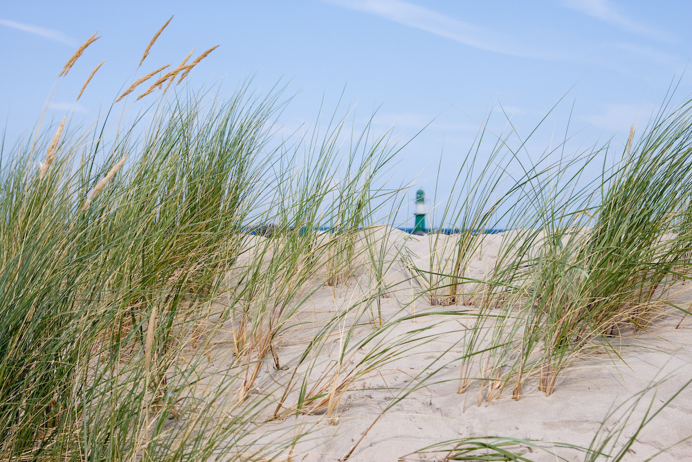 Düne in Warnemünde