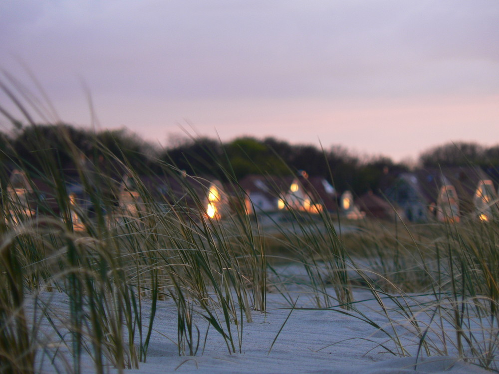 Düne in Warnemünde