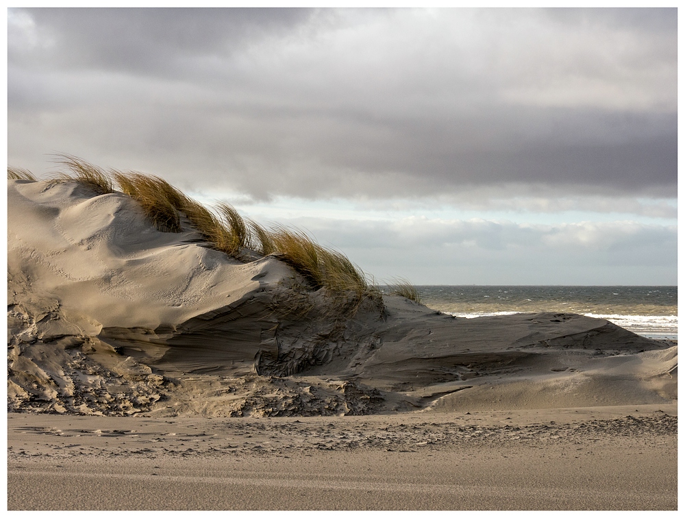 Düne & Meer