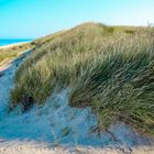 Düne mit Dünengras Westerland Sylt