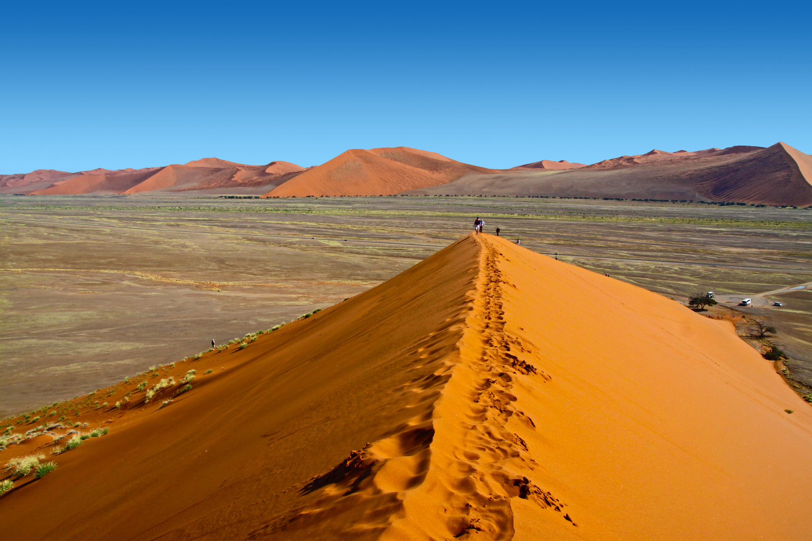 DÜNE NAMIB - ICH SCHICK DICH IN DIE WÜSTE