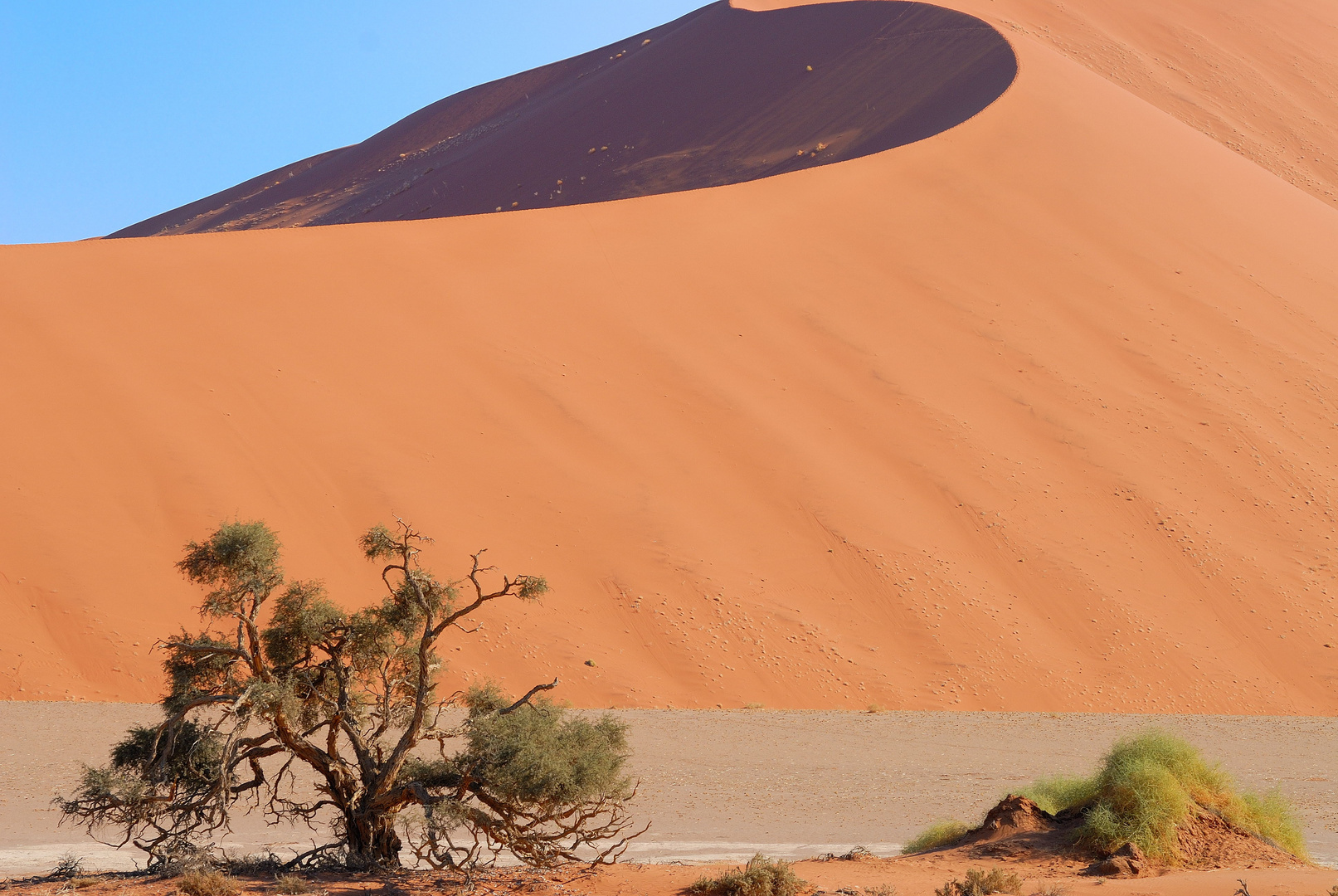 Düne Namib Naukluft Park