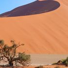 Düne Namib Naukluft Park