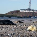 Düne Nordstrand...