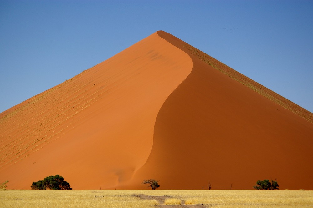 Düne Nr. 45 Namibia