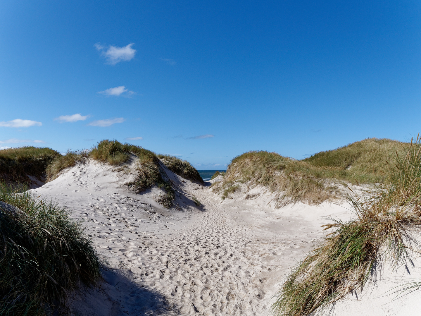 Düne Nummer Sieben