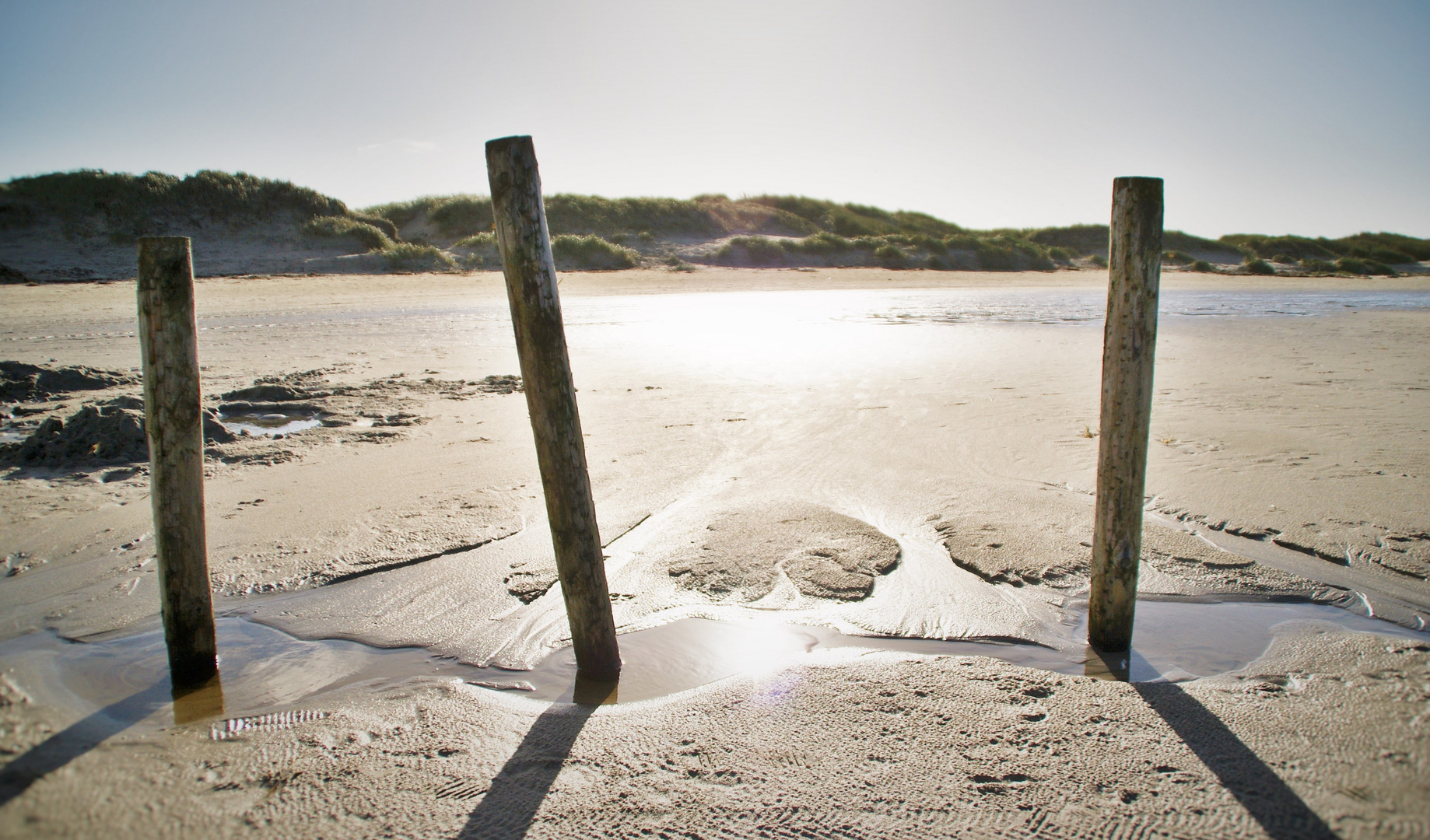 Düne St. Peter Ording