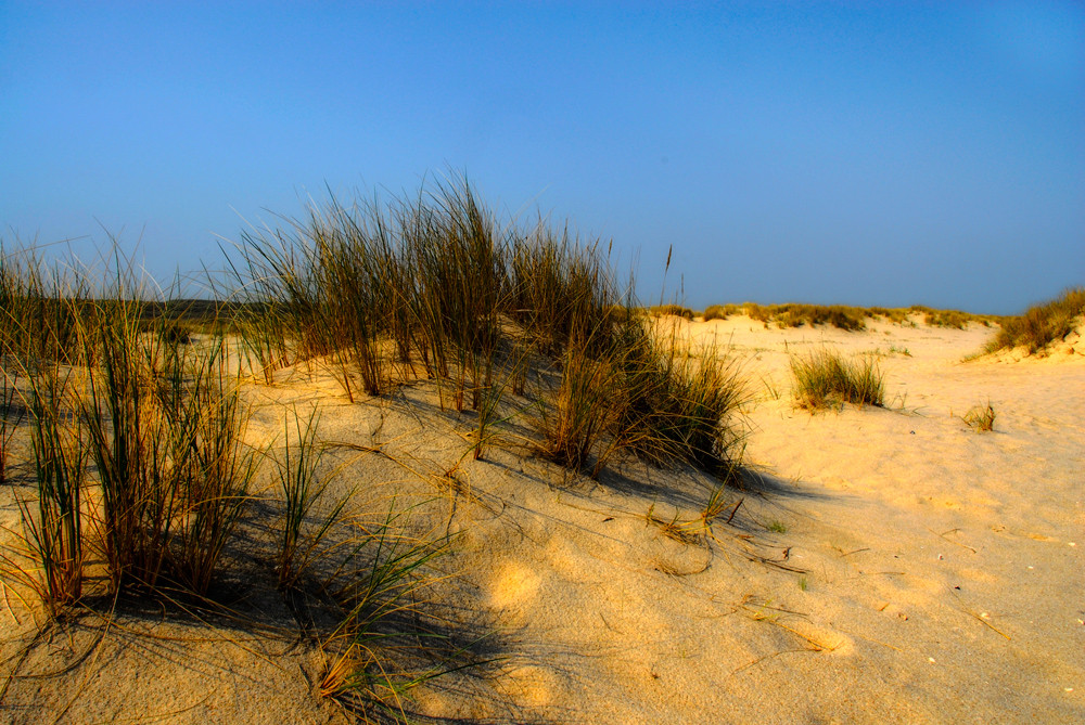 Düne Sylt