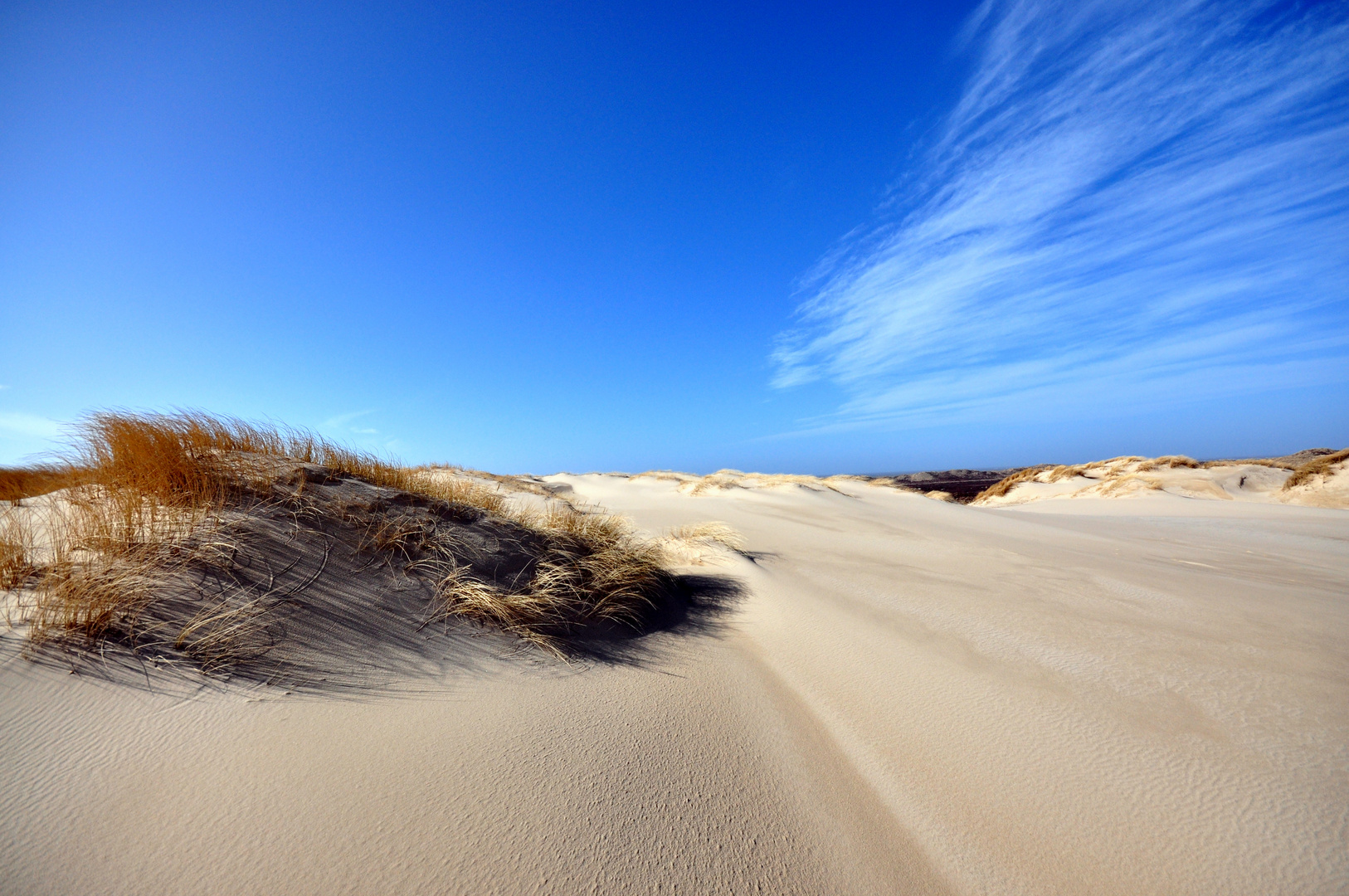 Düne und Meer