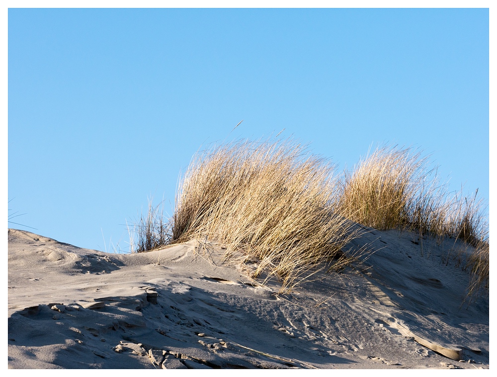 Düne unter blauem Himmel