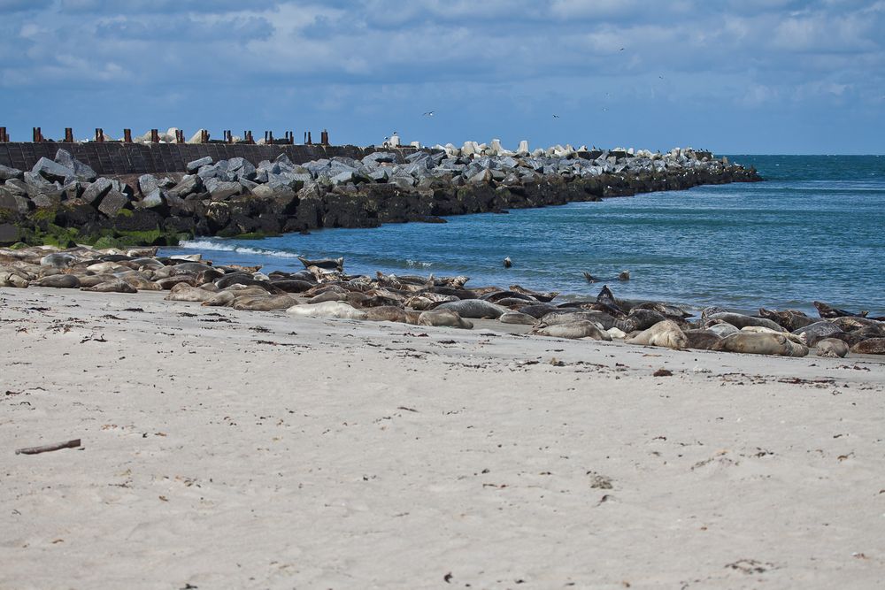 Düne von Helgoland