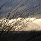 Düne/Licht/Wolke