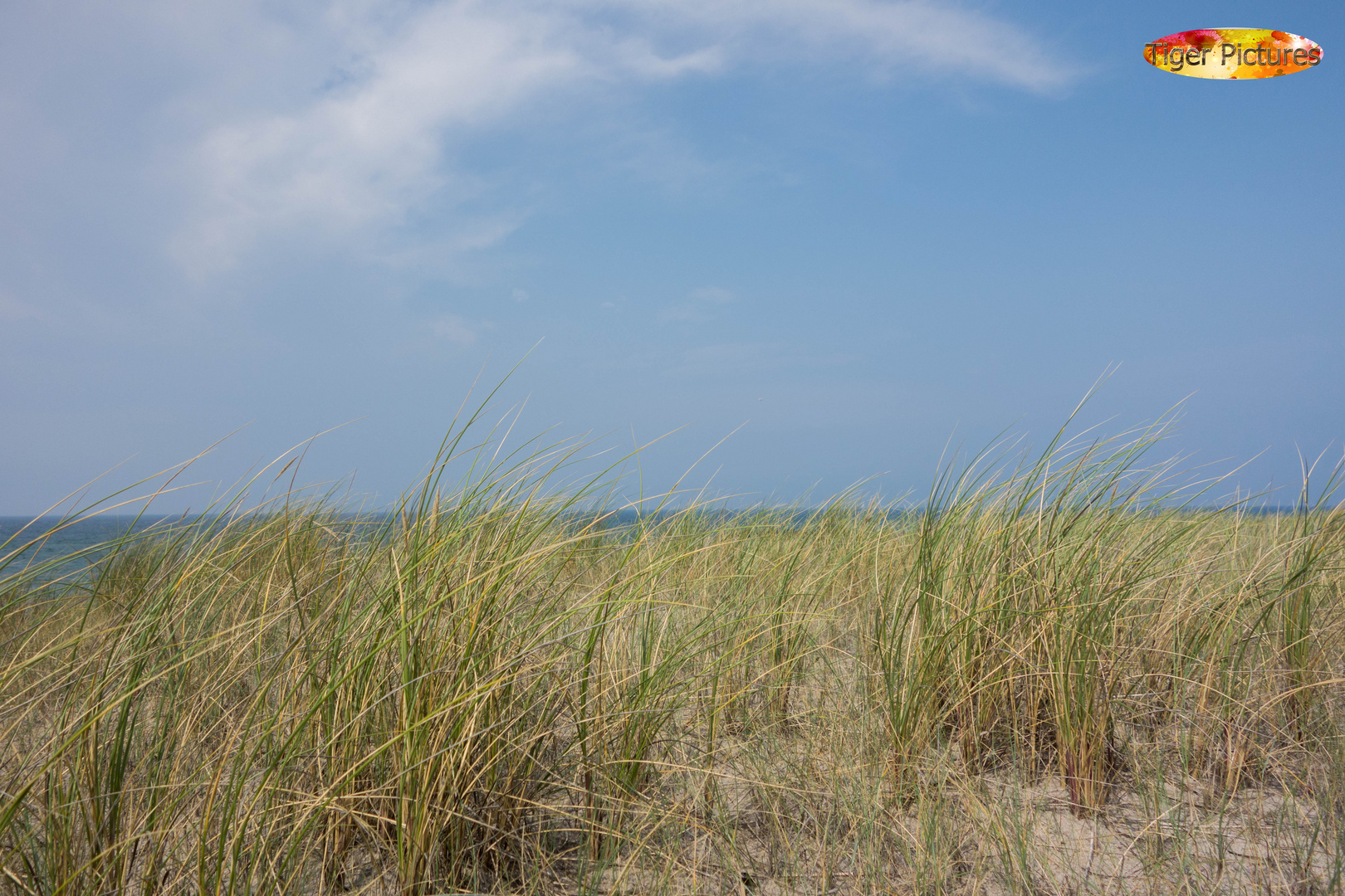 Dünen Foto & Bild landschaft, meer & strand, dünen Bilder auf