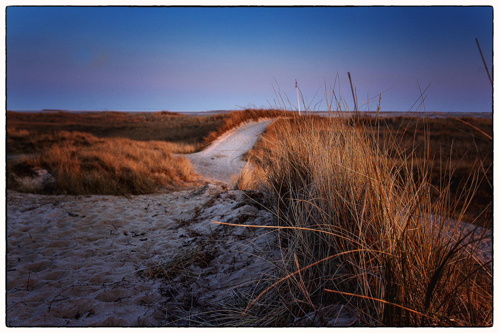 Dünen am Abend auf Amrum