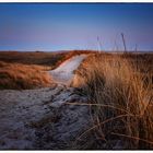 Dünen am Abend auf Amrum