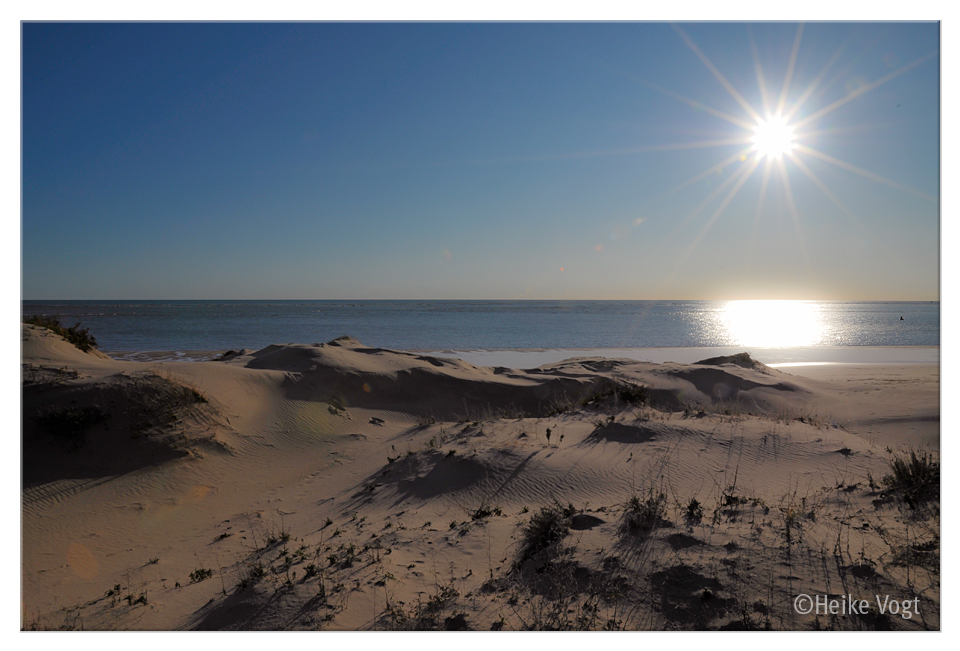 Dünen am Atlantik