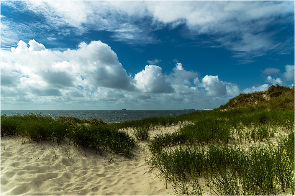 Dünen am Ellenbogen, Sylt