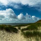 Dünen am Ellenbogen, Sylt