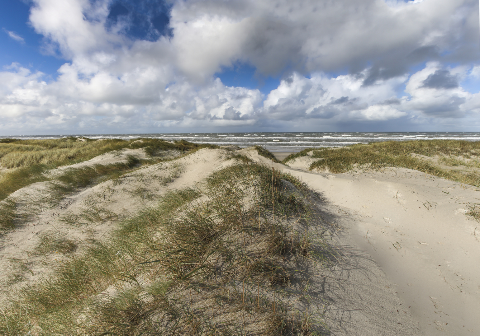 Dünen am Hennestrand