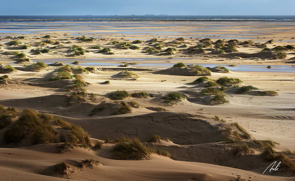 Dünen am Kniepsand