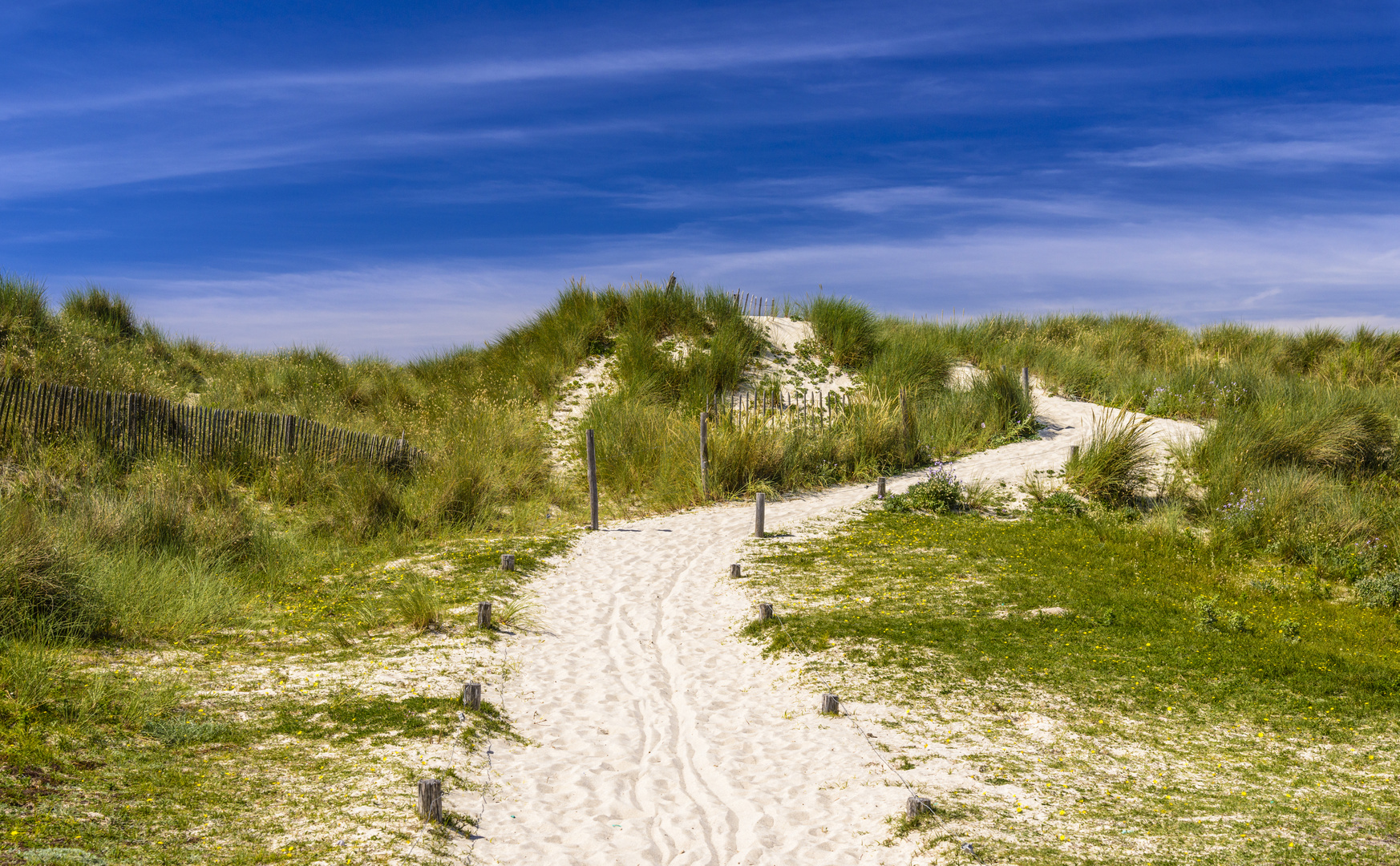 Dünen am Pointe de la Torche, Bretagne, France