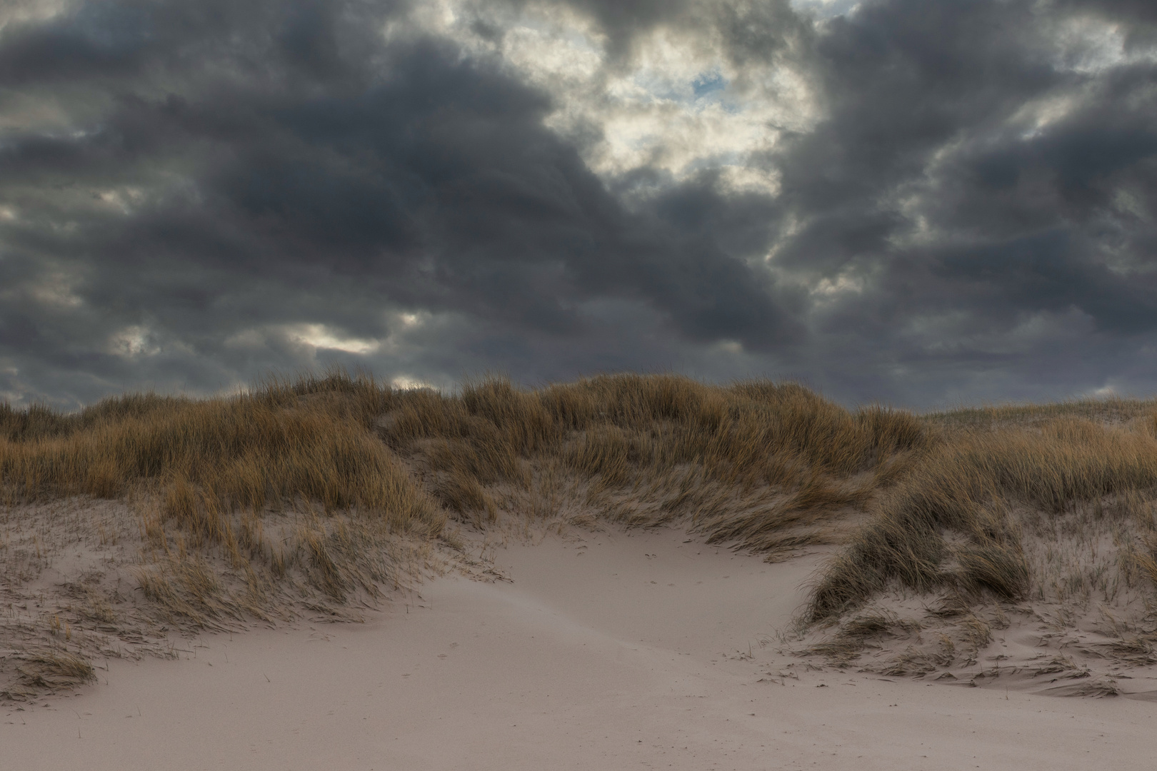 Dünen am Strand #2