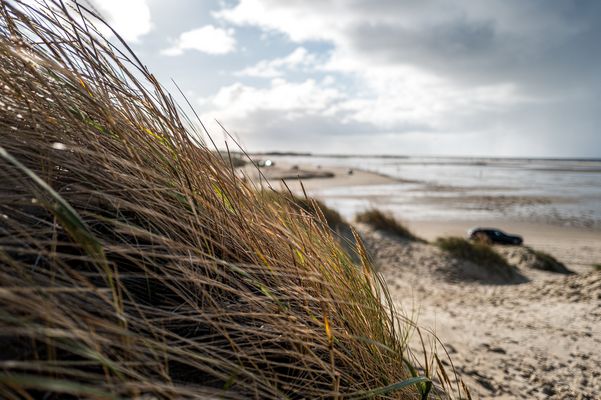 Dünen am Strand