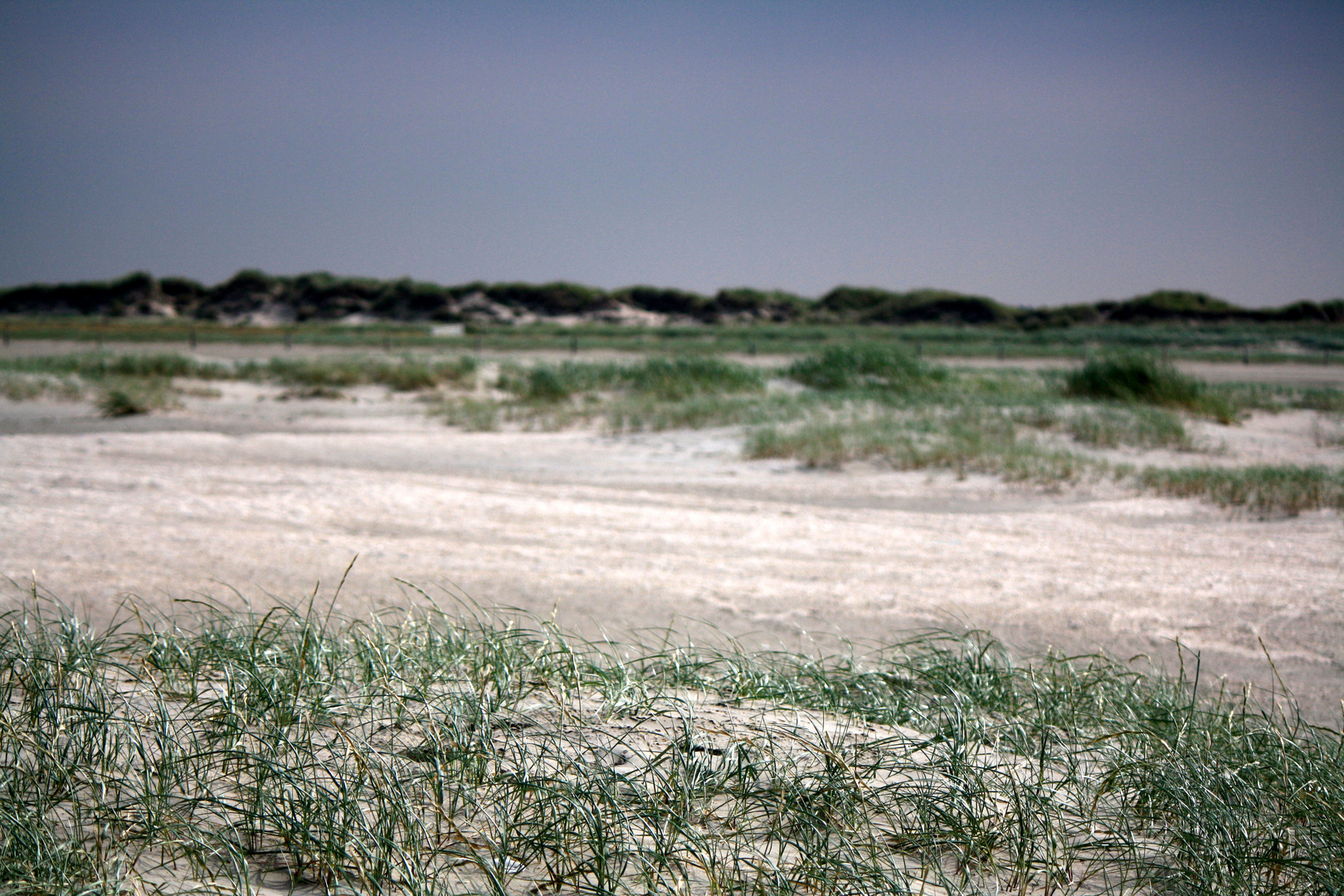 Dünen am Strand von Lakolk,Römö