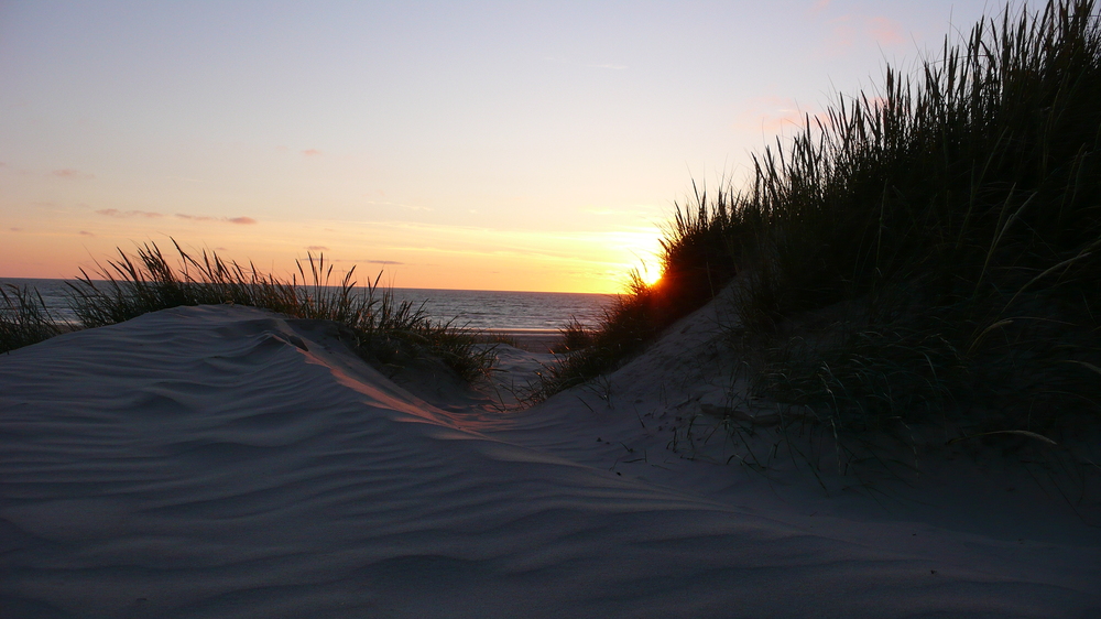 Dünen am Strand von Vejers